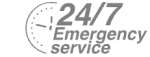 24/7 Emergency Service Pest Control in Wembley, Alperton, Sudbury, HA0. Call Now! 020 8166 9746
